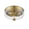 Z-Lite Amon 3 Light Flush Mount, Heritage Brass And Clear Seedy 722F3-HBR - alternate 5